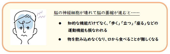 脳の神経細胞が壊れて脳の萎縮が進むと・・・