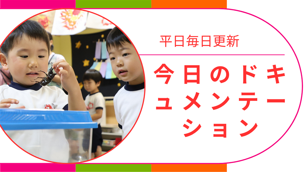 平日毎日更新　今日のドキュメンテーション　8月18日公開