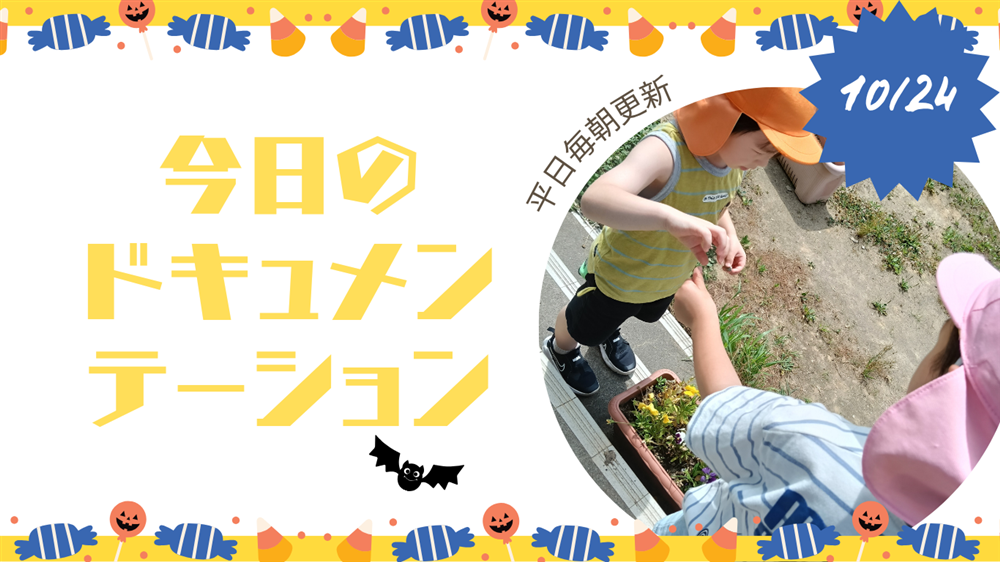 平日毎日更新 今日のドキュメンテーション 10月24日公開