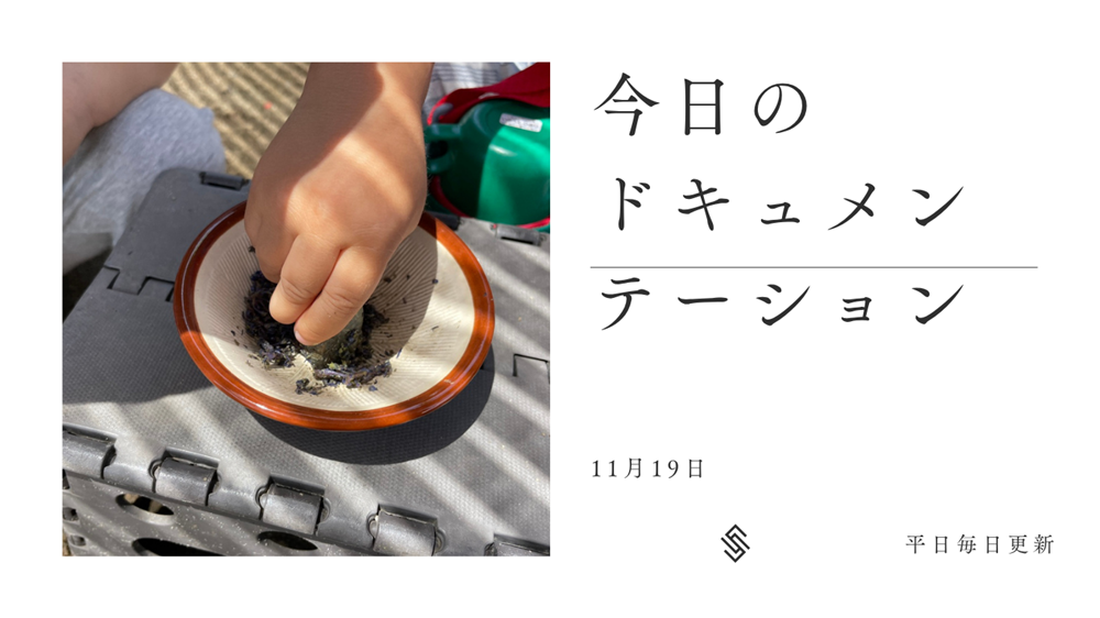 平日毎日更新 今日のドキュメンテーション 11月19日公開