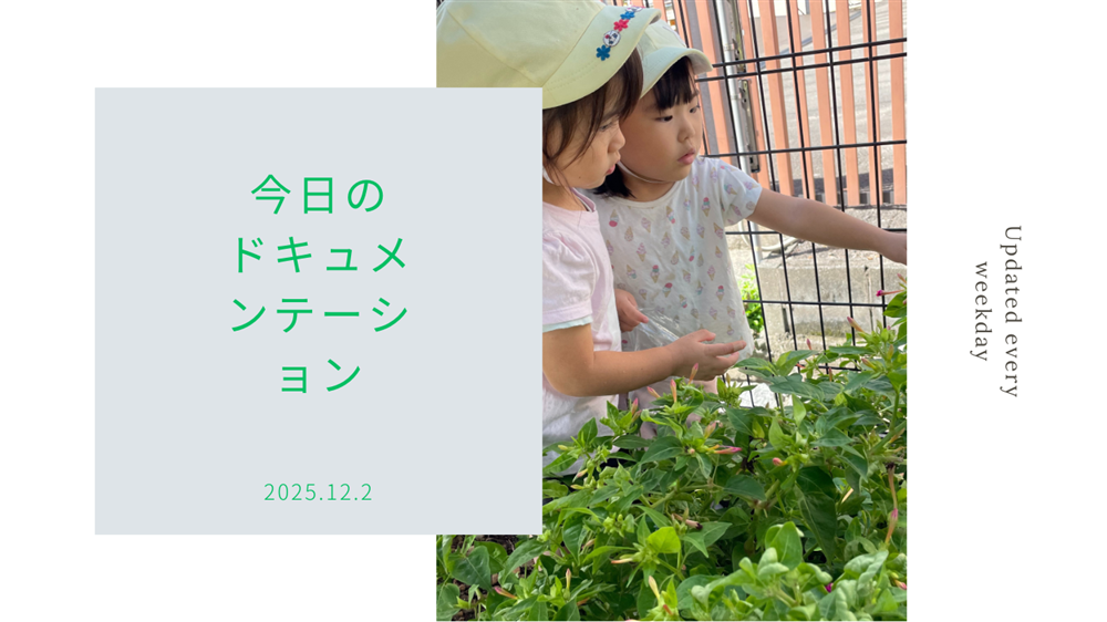 平日毎日更新 今日のドキュメンテーション 12月02日公開