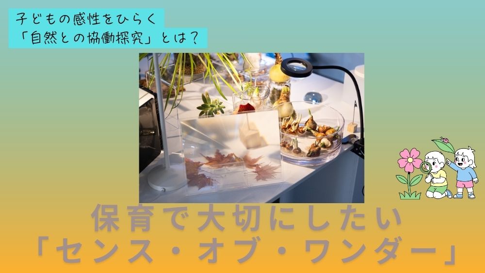 子どもの感性をひらく「自然との協働探究」とは? 保育で大切にしたい「センス・オブ・ワンダー」