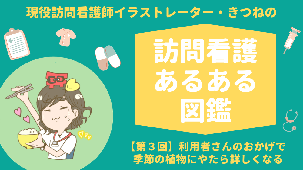 現役訪問看護師イラストレーター・きつねの 訪問看護あるある図鑑 第3回「利用者さんのおかげで季節の植物にやたら詳しくなる」