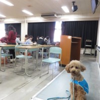 「学校で補助犬授業」
