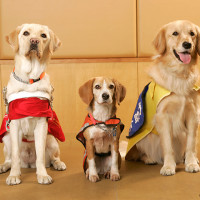 第199回　補助犬法啓発イベントの季節！